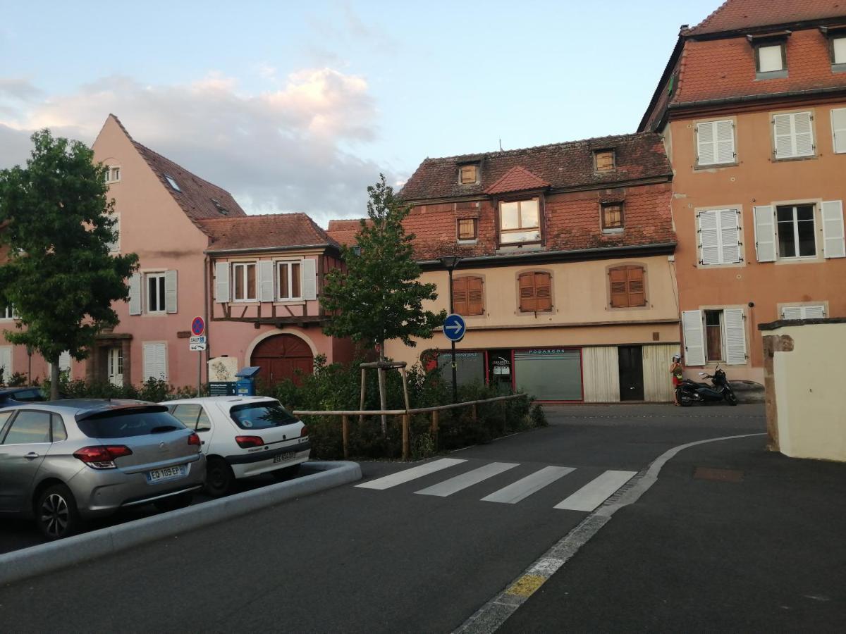 Magnifique Gite Plein Centre De Sélestat Buitenkant foto